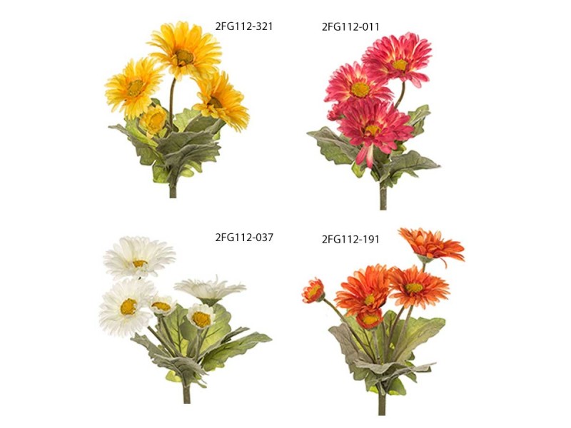 MAZZO GERBERA X 5